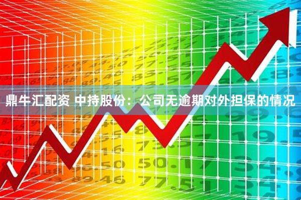 鼎牛汇配资 中持股份：公司无逾期对外担保的情况