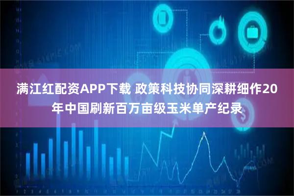 满江红配资APP下载 政策科技协同深耕细作20年中国刷新百万亩级玉米单产纪录
